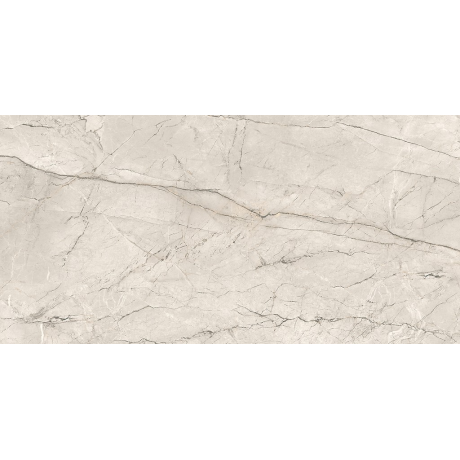 SILVER ROOT LIGHT GREY MATT RECT 59,8X119,8 G1