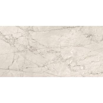 SILVER ROOT LIGHT GREY MATT RECT 59,8X119,8 G1