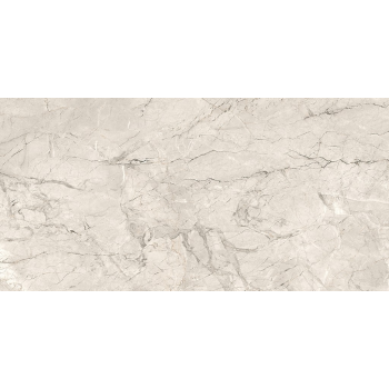 SILVER ROOT LIGHT GREY MATT RECT 59,8X119,8 G1