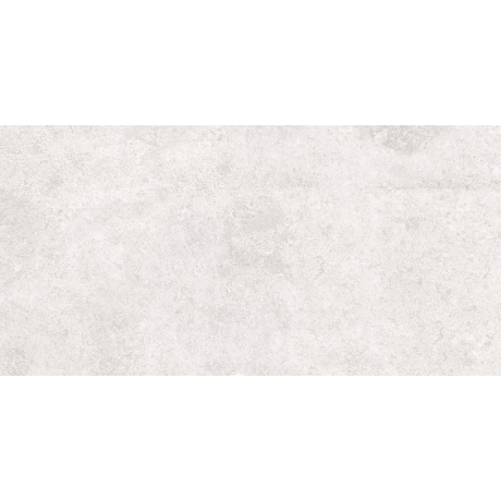 SASIRIO LIGHT GREY POLISHED RECT 60X120 G1