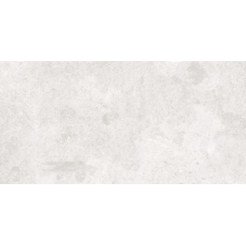 SASIRIO LIGHT GREY POLISHED RECT 60X120 G1