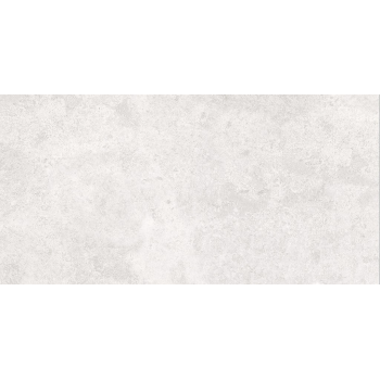 SASIRIO LIGHT GREY POLISHED RECT 60X120 G1