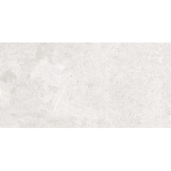 SASIRIO LIGHT GREY POLISHED RECT 60X120 G1