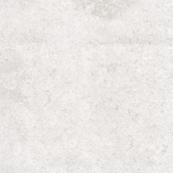 SASIRIO LIGHT GREY POLISHED RECT 60X60 G1