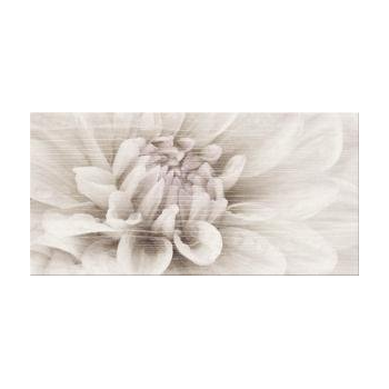 TRENDY WOOD BEIGE INSERTO...