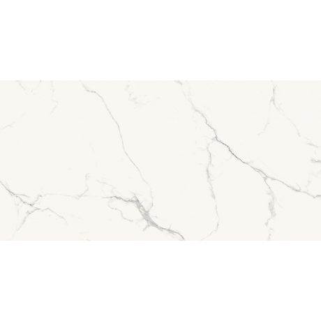 TILLITA STATUARIO WHITE POLISHED RECT 60X120 P G1