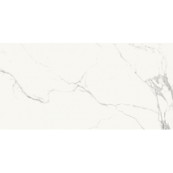 TILLITA STATUARIO WHITE POLISHED RECT 60X120 P G1