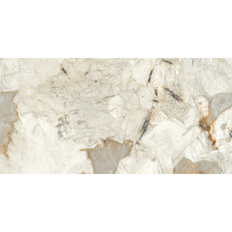 REGIANO GREY POLISHED RECT 60X120 G1