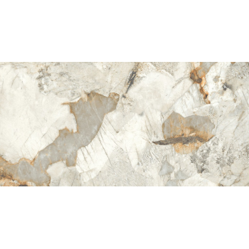 REGIANO GREY POLISHED RECT 60X120 G1