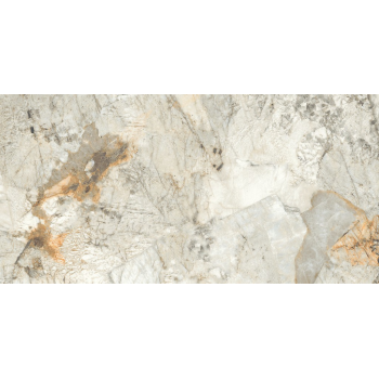 REGIANO GREY POLISHED RECT 60X120 G1