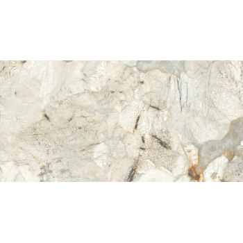 REGIANO GREY POLISHED RECT 60X120 G1