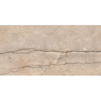 PIOVE GREY POLISHED RECT 60X120 G1