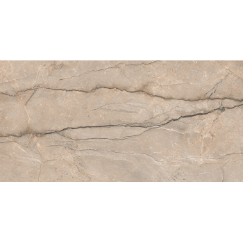 PIOVE GREY POLISHED RECT 60X120 G1