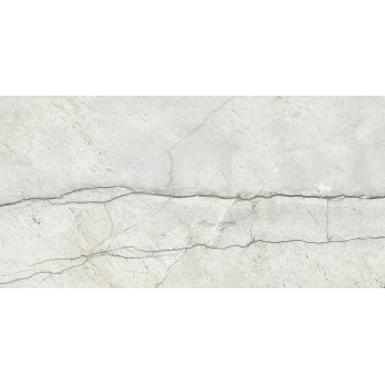 PIOVE LIGHT GREY POLISHED RECT 60x120 G1