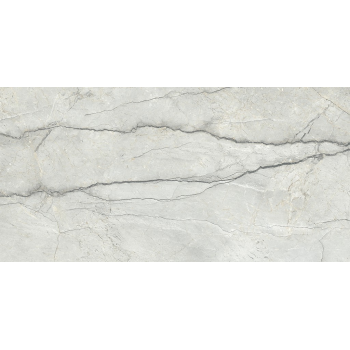 PIOVE LIGHT GREY POLISHED RECT 60x120 G1