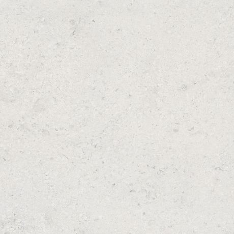 LIV JURA LANDSCAPE LIGHT GREY MATT RECT 59,8X59,8 G1