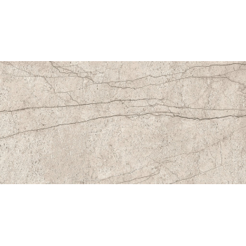 LIPIRIO GREY POLISHED RECT 60X120 G1