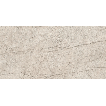 LIPIRIO GREY POLISHED RECT 60X120 G1