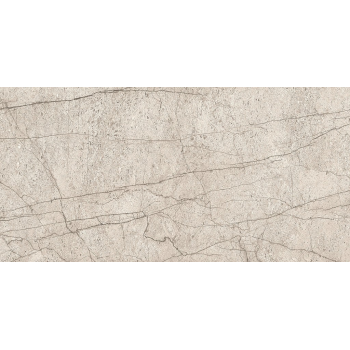 LIPIRIO GREY POLISHED RECT 60X120 G1