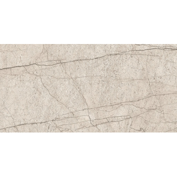 LIPIRIO GREY POLISHED RECT 60X120 G1