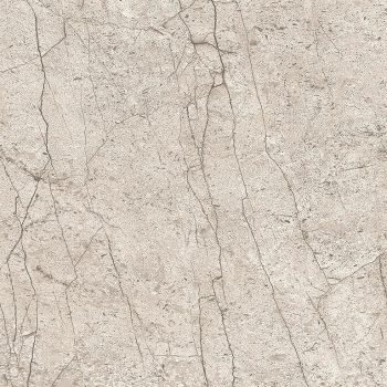 LIPIRIO GREY POLISHED RECT 60X60 G1