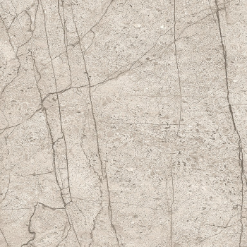 LIPIRIO GREY POLISHED RECT 60X60 G1