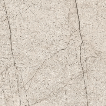 LIPIRIO GREY POLISHED RECT 60X60 G1
