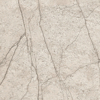LIPIRIO GREY POLISHED RECT 60X60 G1