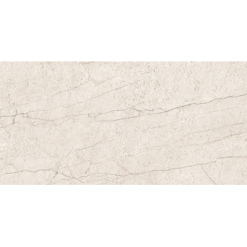 LIPIRIO LIGHT GREY POLISHED RECT 60X120 G1