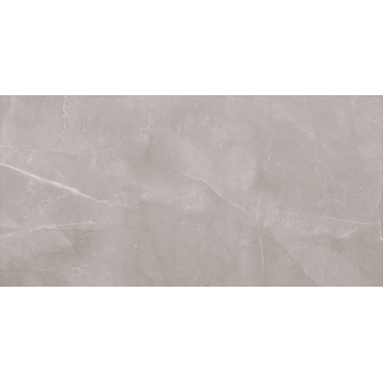 HARMONY GREY REKT 30X60...