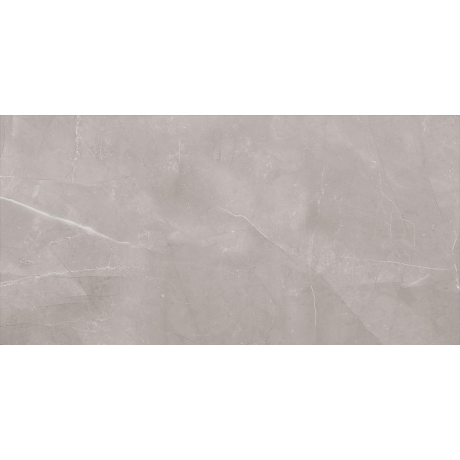 HARMONY GREY REKT 30X60 GAT.I ATEM H2562