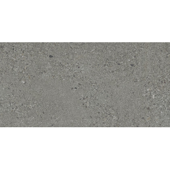 SMALL TERRAZZO STONE GREY MATT RECT 29,8X59,8 G1