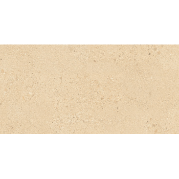 SMALL TERRAZZO STONE WARM BEIGE MATT RECT 29,8X59,8 G1