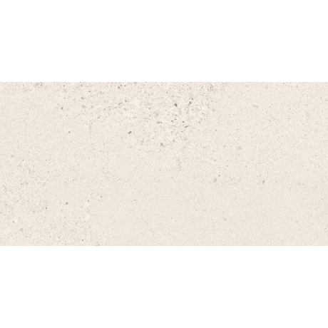 SMALL TERRAZZO STONE WHITE MATT RECT 29,8X59,8 G1