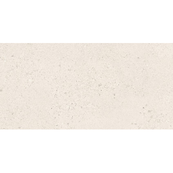 SMALL TERRAZZO STONE WHITE MATT RECT 29,8X59,8 G1