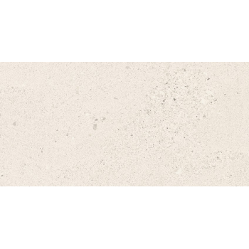 SMALL TERRAZZO STONE WHITE MATT RECT 29,8X59,8 G1