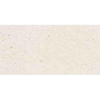 SMALL TERRAZZO STONE WHITE MATT RECT 29,8X59,8 G1