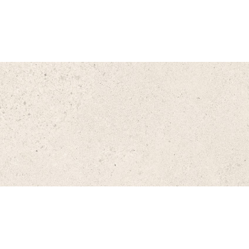SMALL TERRAZZO STONE WHITE MATT RECT 29,8X59,8 G1
