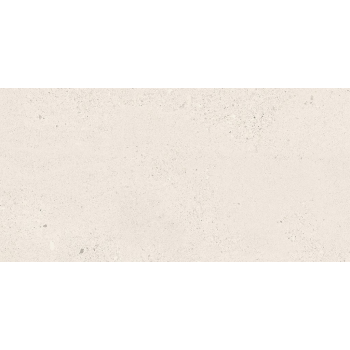 SMALL TERRAZZO STONE WHITE MATT RECT 59,8X119,8 G1