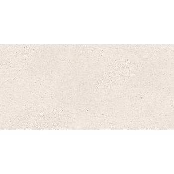 SMALL TERRAZZO STONE WHITE MATT RECT 59,8X119,8 G1