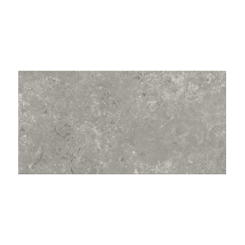 G313 GREY 29,8X59,8 G1