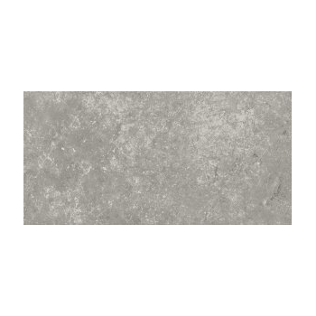 G313 GREY 29,8X59,8 G1