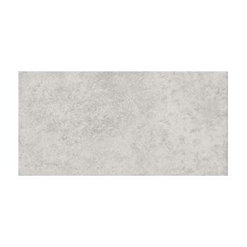 G313 LIGHT GREY 29,8X59,8 G1