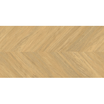 LARA Rett.60x120 G.I